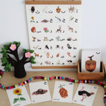 Load image into Gallery viewer, Arabic alphabet cards flashcards nature print poster
