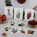 Load image into Gallery viewer, Arabic fruit riddle cards flashcards kids children summer fruits
