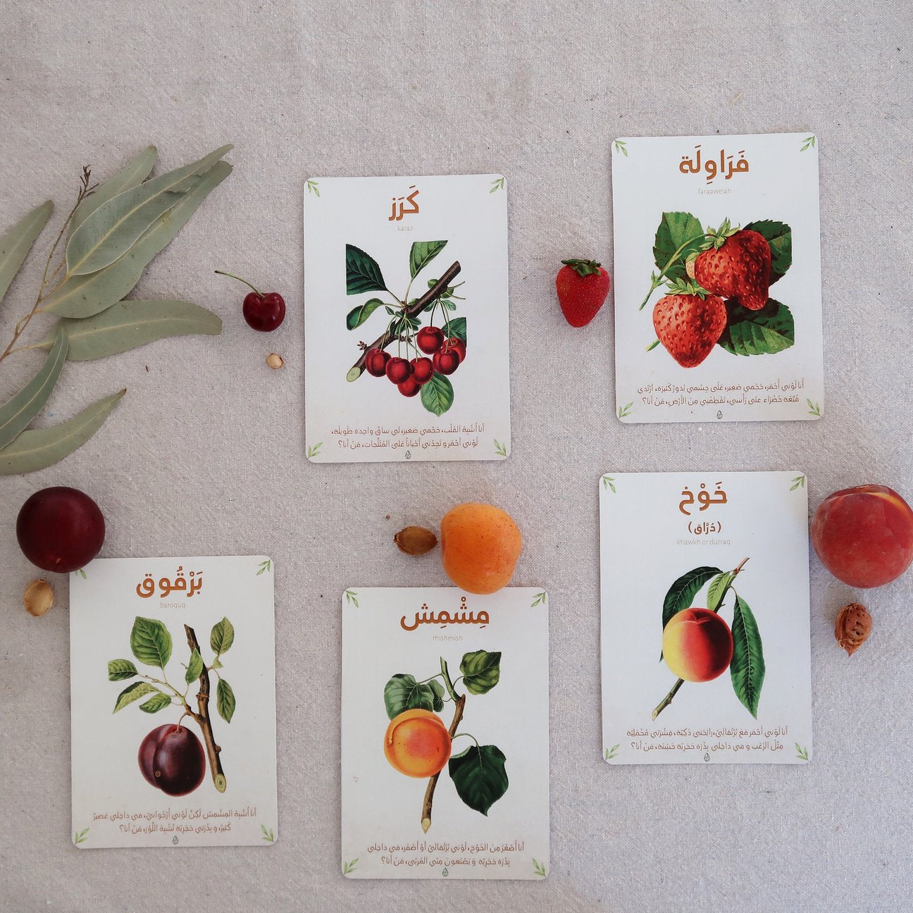Arabic fruit riddle cards flashcards kids children summer fruits