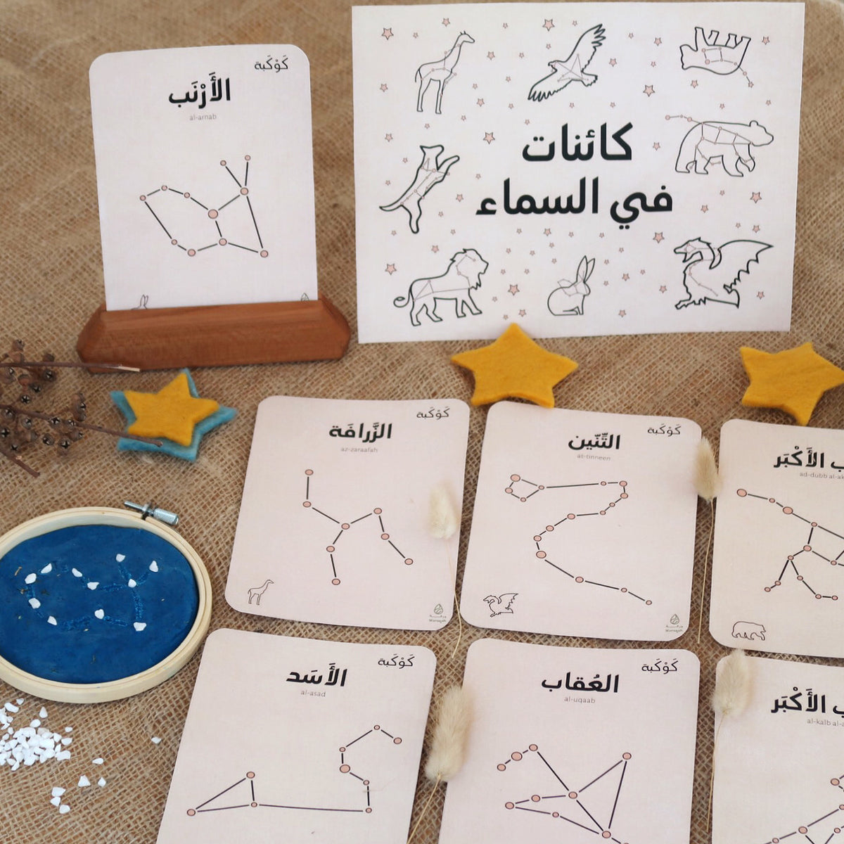 Creatures in The Sky Cards with Riddle Booklet (Digital Download ...