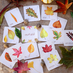 Bilingual Leaf Identification & Bingo Game (Digital Download)