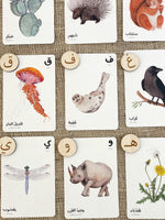 Load image into Gallery viewer, Arabic alphabet cards flashcards nature
