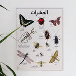 Load image into Gallery viewer, Insects Poster Print
